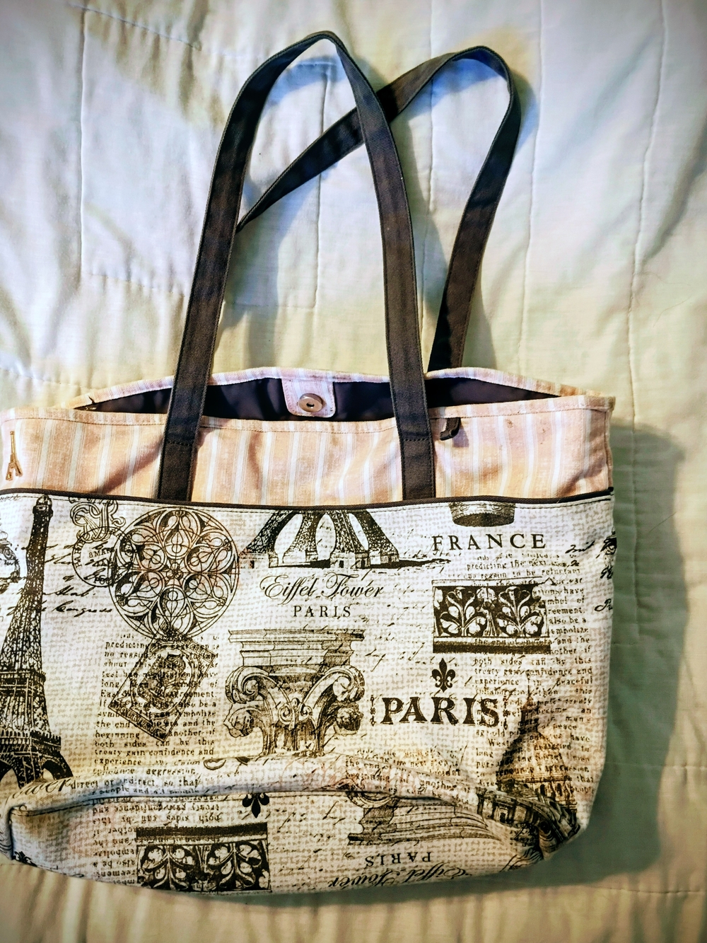 Paris Print Canvas Tote Bag in Beige and Brown
